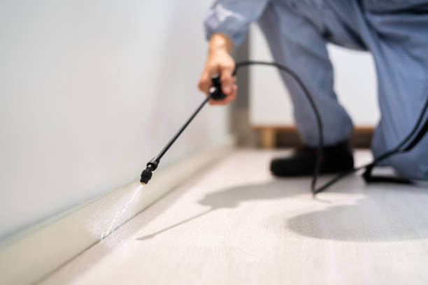 Licensed Termite Control service in Henderson, KY - Nex Pest Control