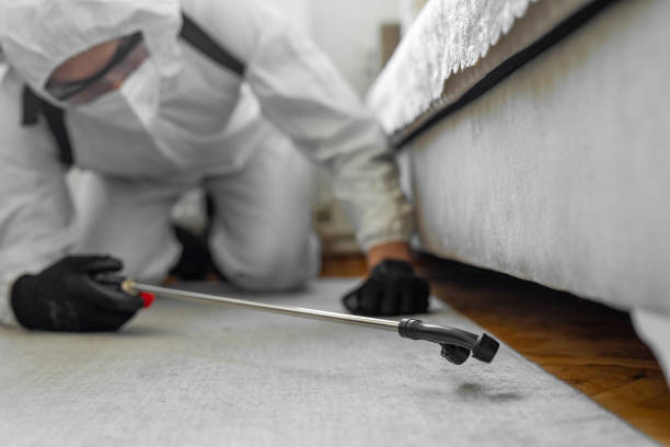 Professional Termite Control technician working in Henderson, KY