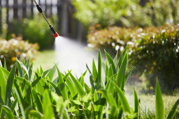 24/7 Emergency Termite Control experts in Henderson, KY