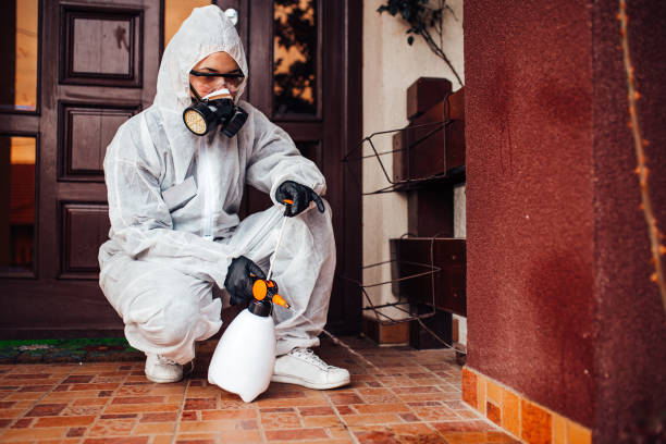 Reliable Termite Control contractor in Henderson, KY by Nex Pest Control