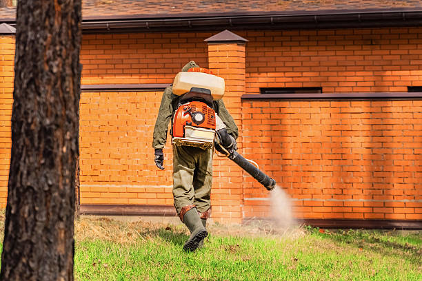 Top rated local Termite Control specialists in Henderson, KY